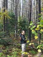 Monitoring Tree Infection and Mortality after Mountain Pine Beetle Attack | FGrOW QuickNote #2